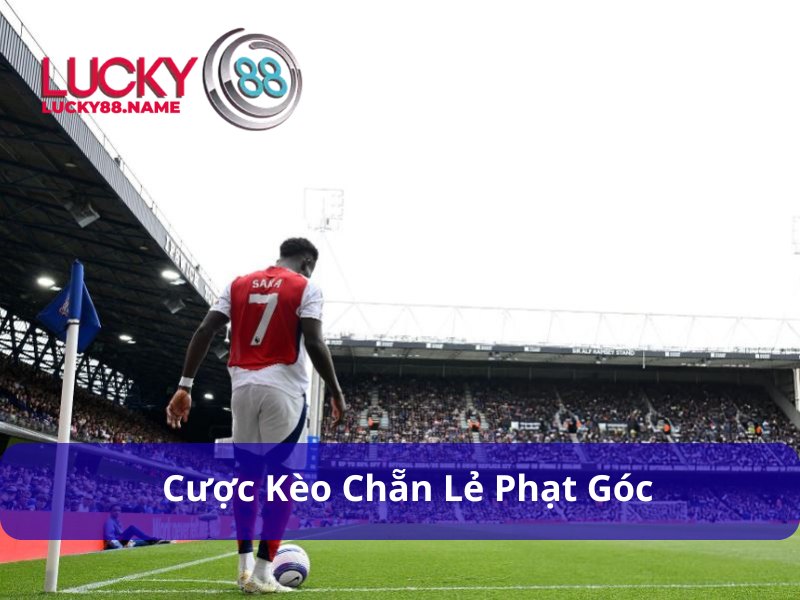 Kèo Chẵn Lẻ - Đa Dạng Kiểu Cược, Lợi Nhuận Hấp Dẫn 3 Đoán pha phạt góc là số chẵn hay lẻ trong bóng đá