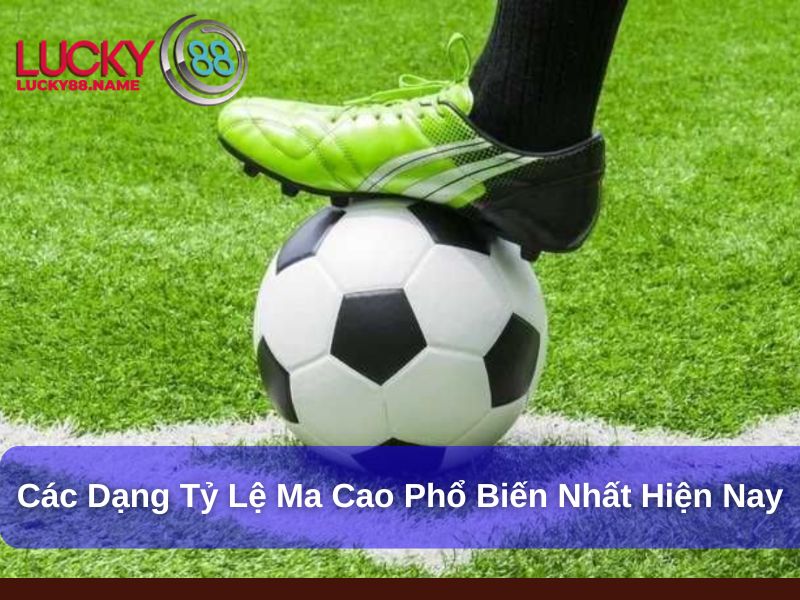 Khám Phá Sâu Về Tỷ Lệ Ma Cao Trong Giới Cá Cược 3 Các dạng tỷ lệ Ma Cao phổ biến nhất hiện nay