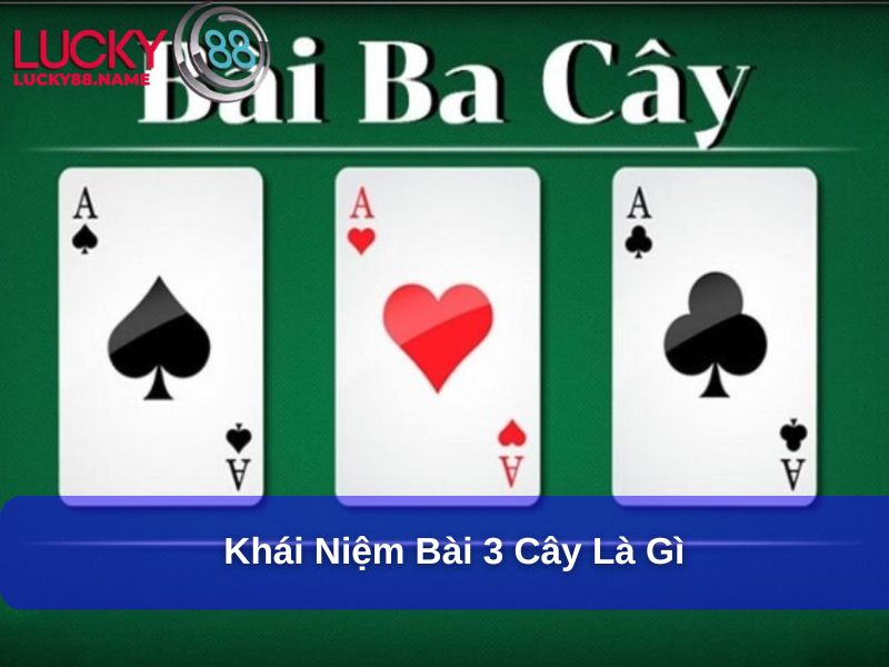 Khái niệm bài 3 cây là gì